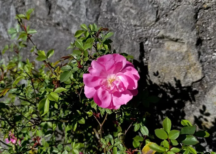 Lejlighed La Casa Del Sole Carrodano Inferiore